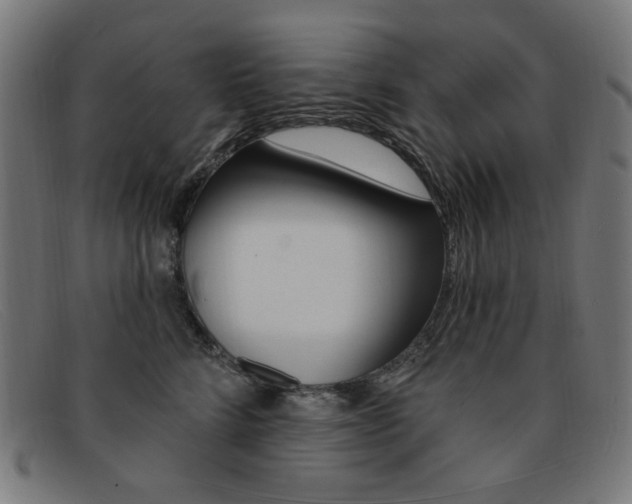 X0000092110712200709121130