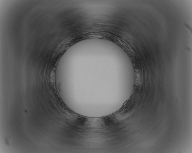 X0000092110713200709121129