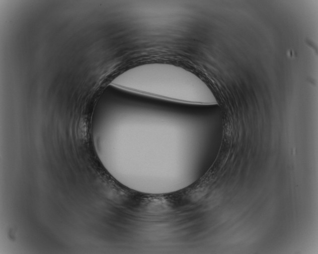 X0000092110715200709121129