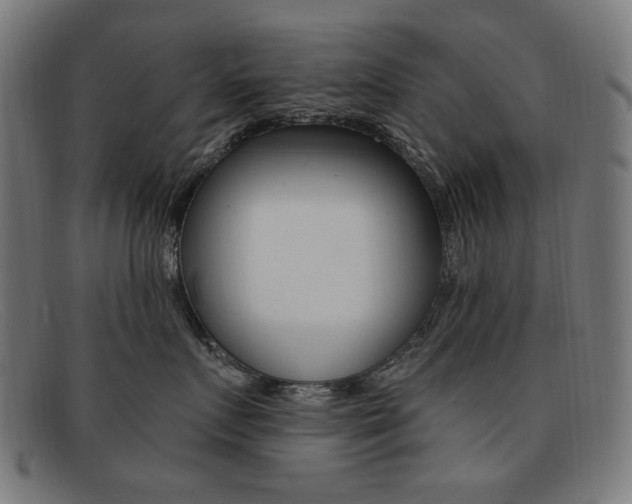 X0000092110719200709121129