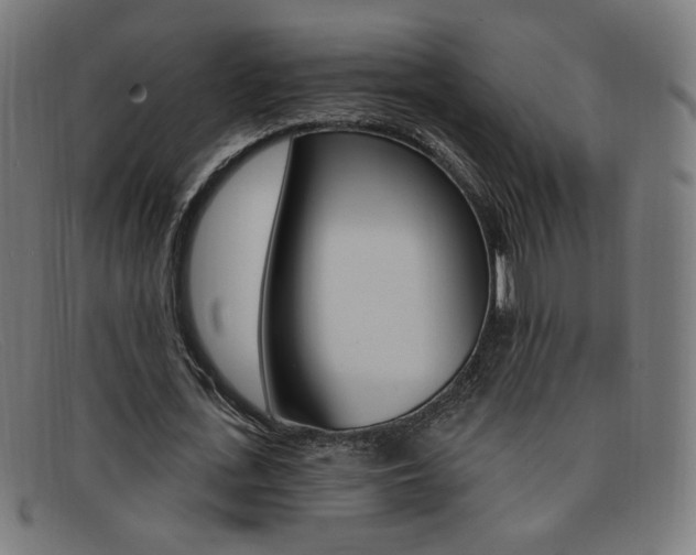 X0000092110723200709121129