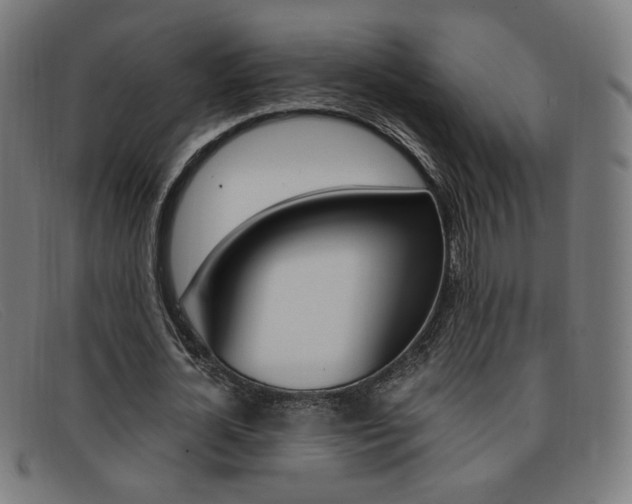 X0000092110724200709121129