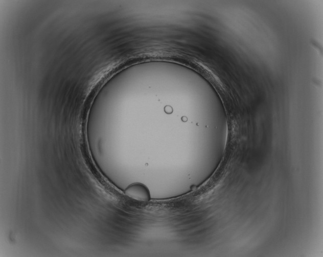 X0000092110725200709121129
