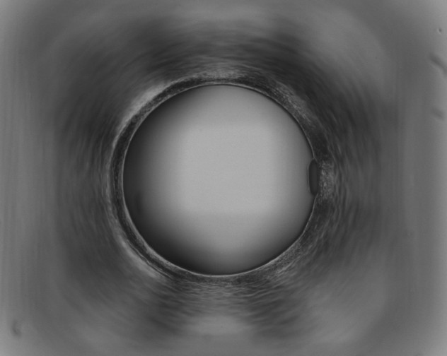 X0000092110726200709121129