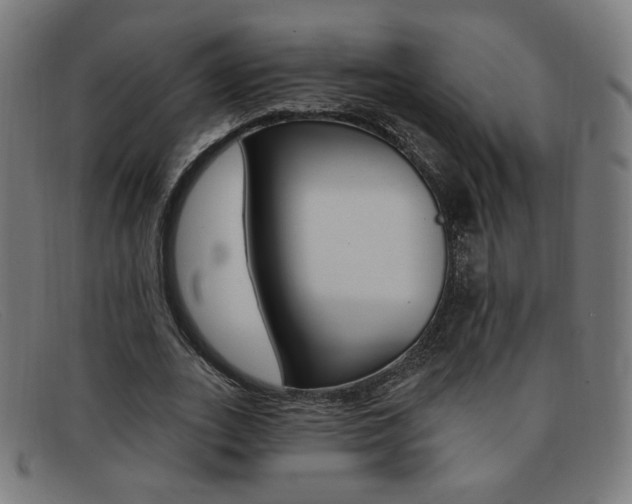 X0000092110727200709121129