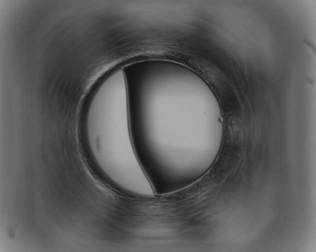 X0000092110728200709121129