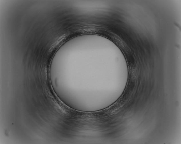 X0000092110729200709121129