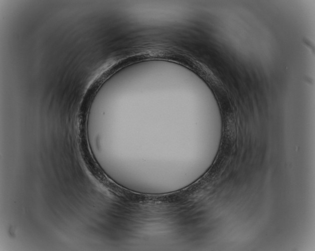X0000092110730200709121129