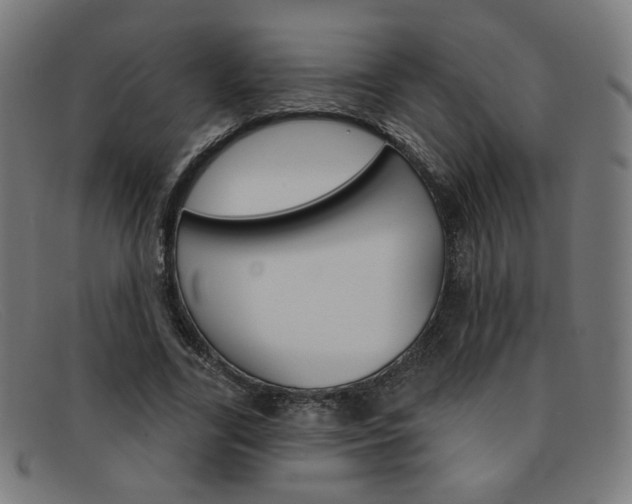 X0000092110731200709121129