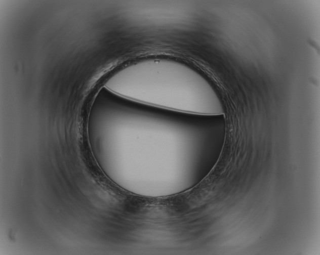 X0000092110732200709121129