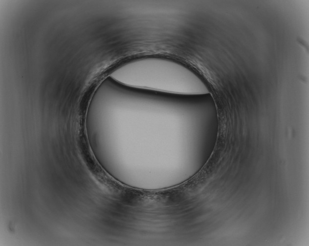 X0000092110736200709121129