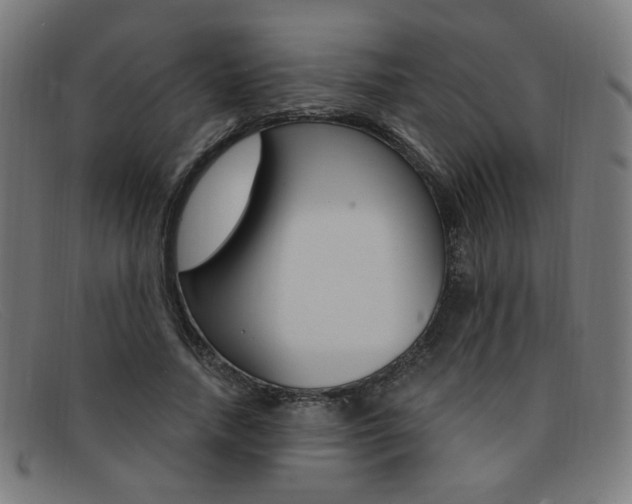 X0000092110738200709121129