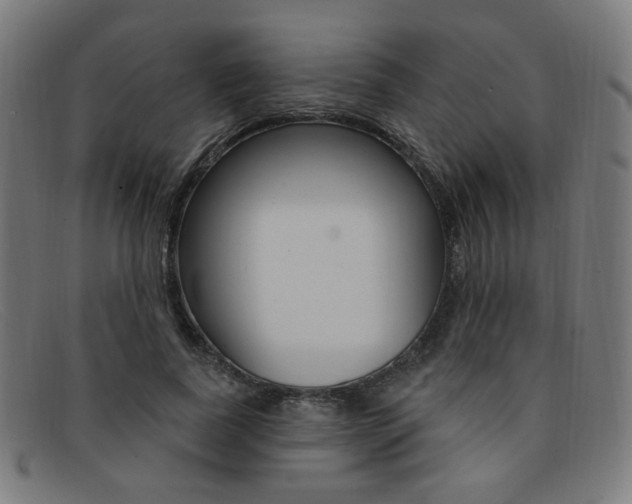 X0000092110739200709121129
