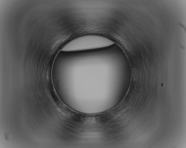 X0000092110740200709121129