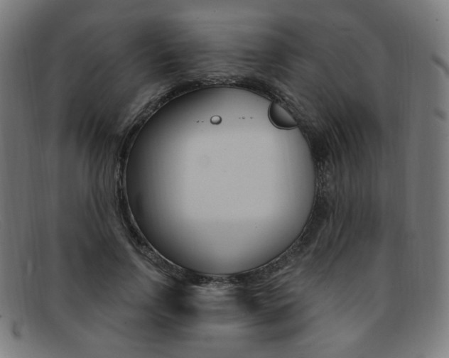 X0000092110742200709121129