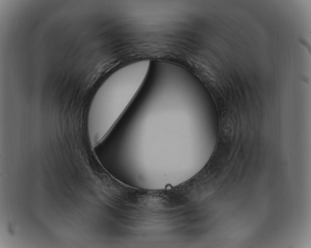 X0000092110743200709121129