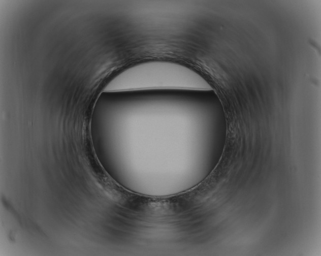 X0000092110744200709121129