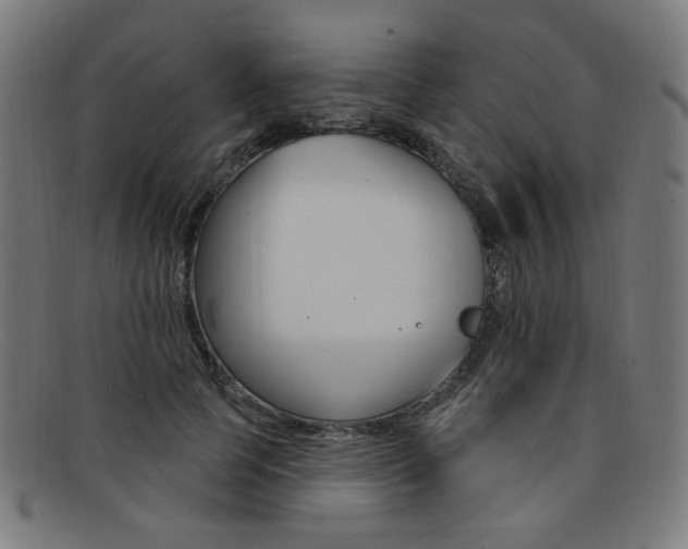 X0000092110745200709121129