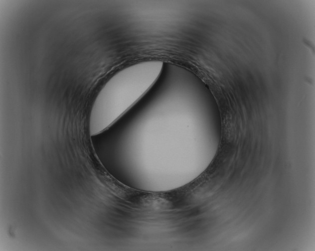 X0000092110747200709121129