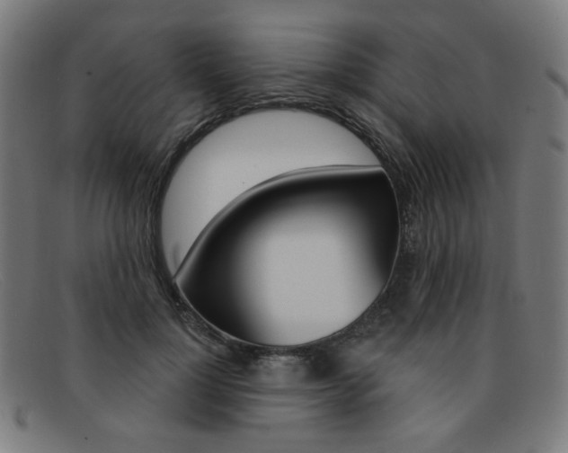 X0000092110748200709121129