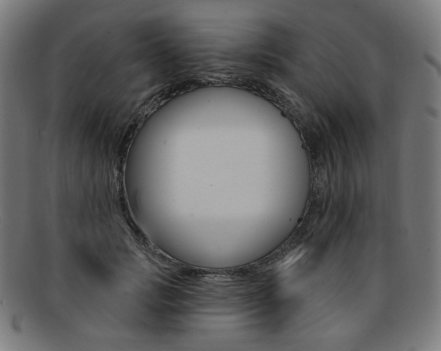 X0000092110749200709121129