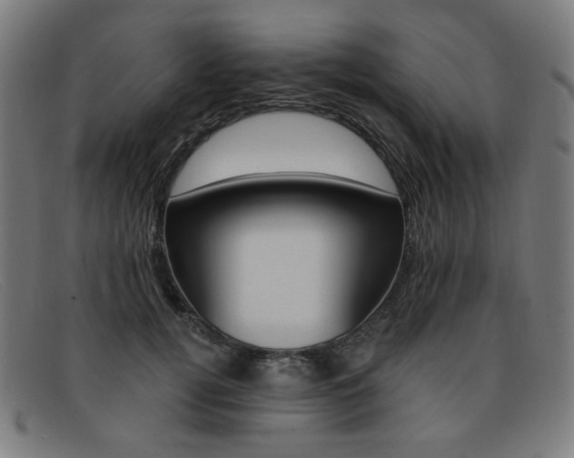 X0000092110752200709121129