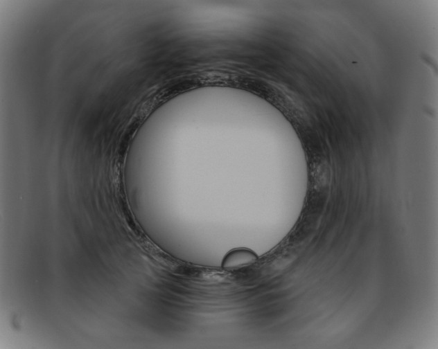 X0000092110753200709121129