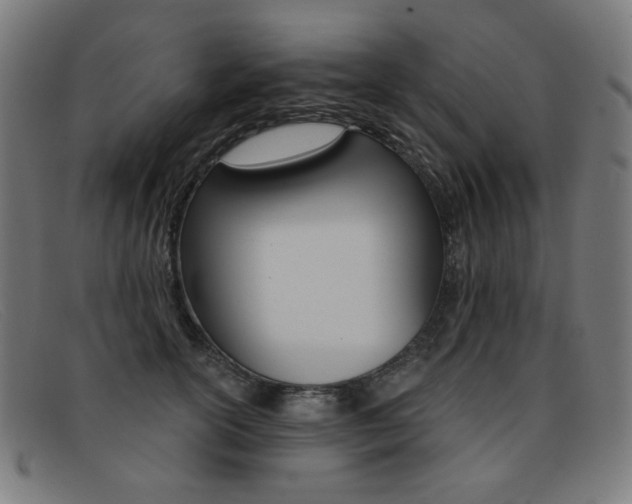 X0000092110754200709121129