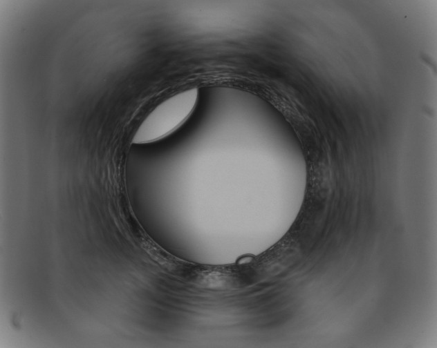 X0000092110755200709121129