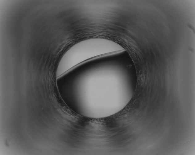 X0000092110756200709121129
