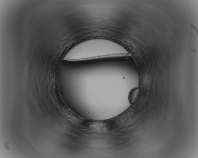 X0000092110759200709121129
