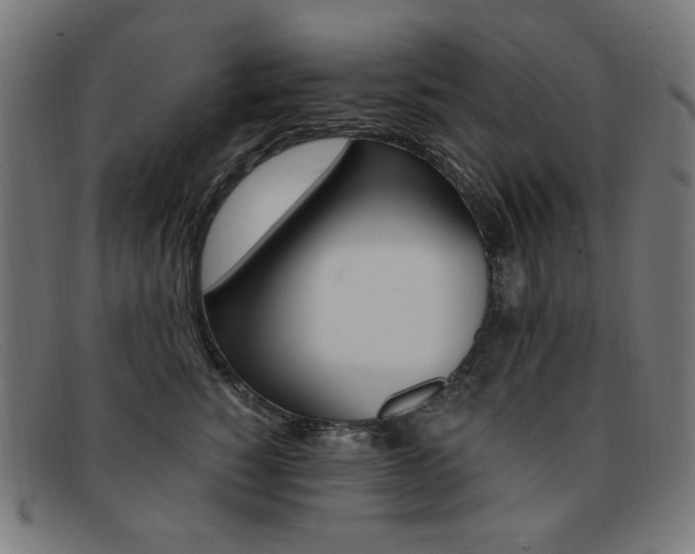 X0000092110760200709121129
