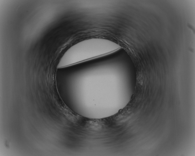 X0000092110763200709121129