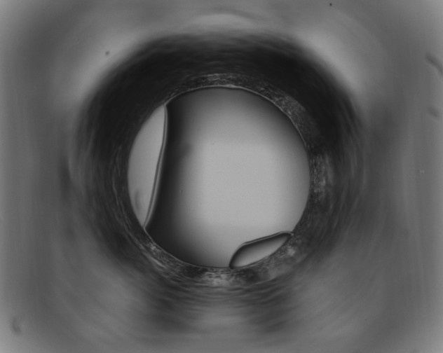 X0000092110764200709121129