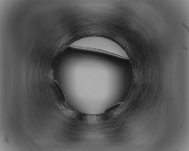 X0000092110766200709121129