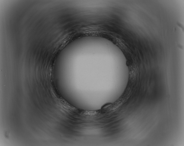 X0000092110767200709121129