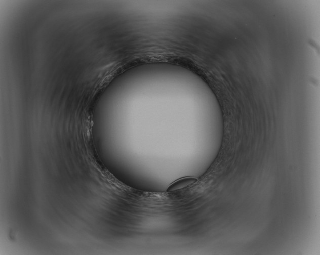 X0000092110768200709121129