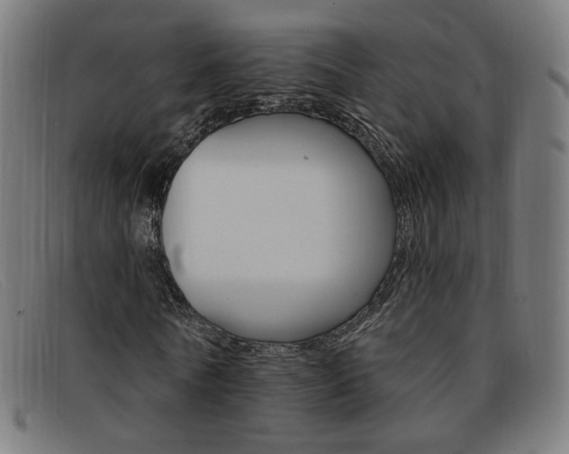 X0000092110770200709121129
