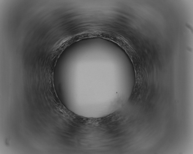 X0000092110773200709121129