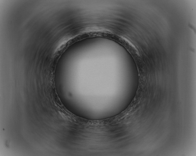 X0000092110775200709121129