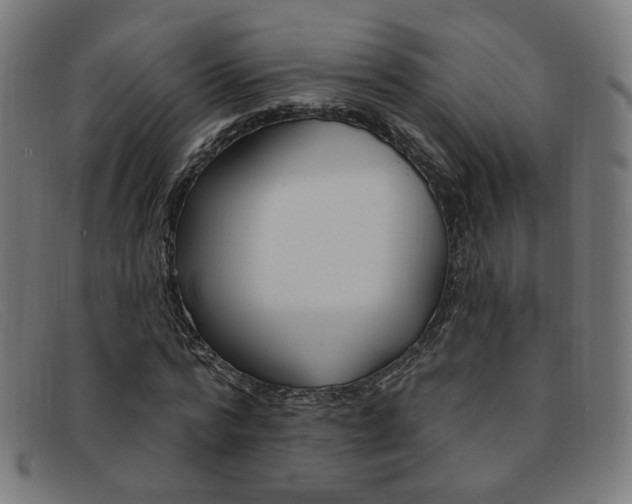 X0000092110776200709121129