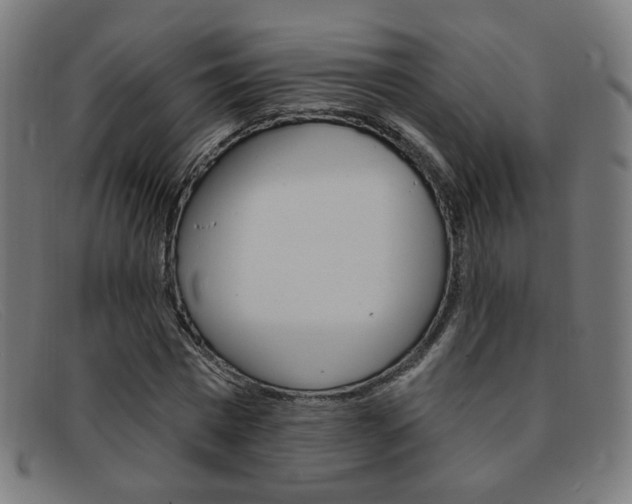 X0000092110777200709121129
