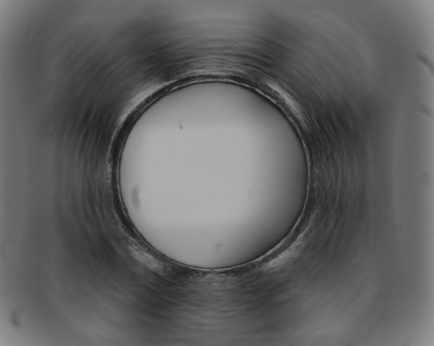 X0000092110779200709121129