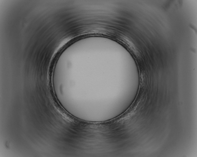 X0000092110780200709121129