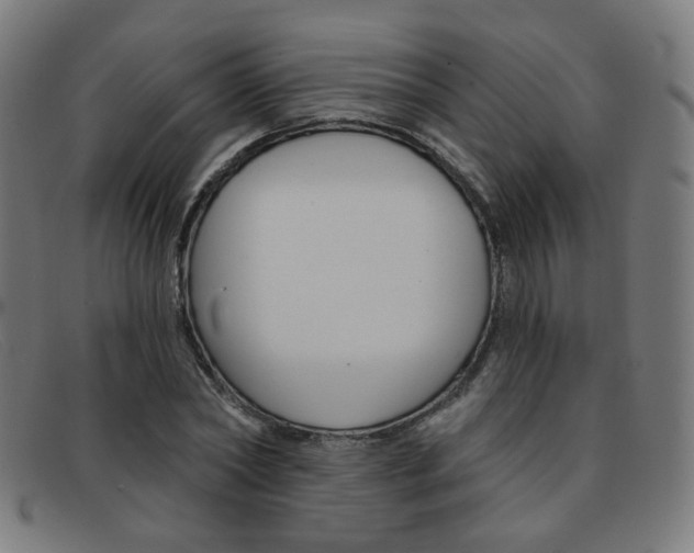X0000092110782200709121129
