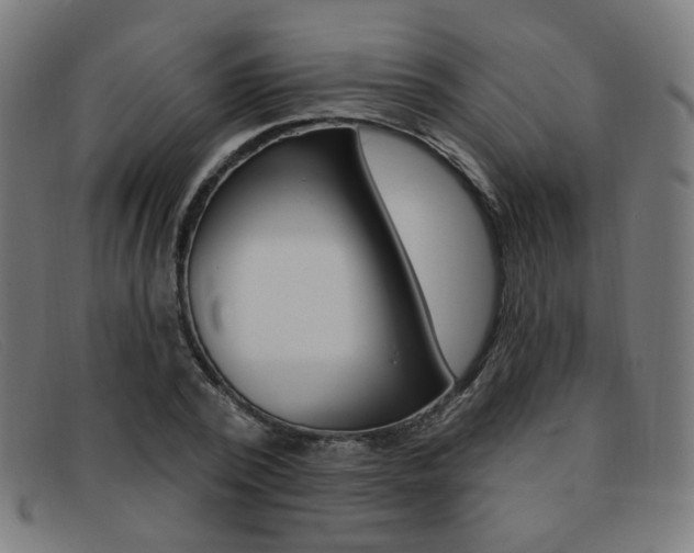 X0000092110784200709121128