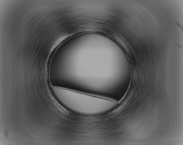 X0000092110787200709121128