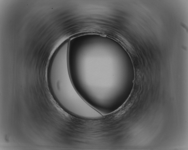 X0000092110788200709121128