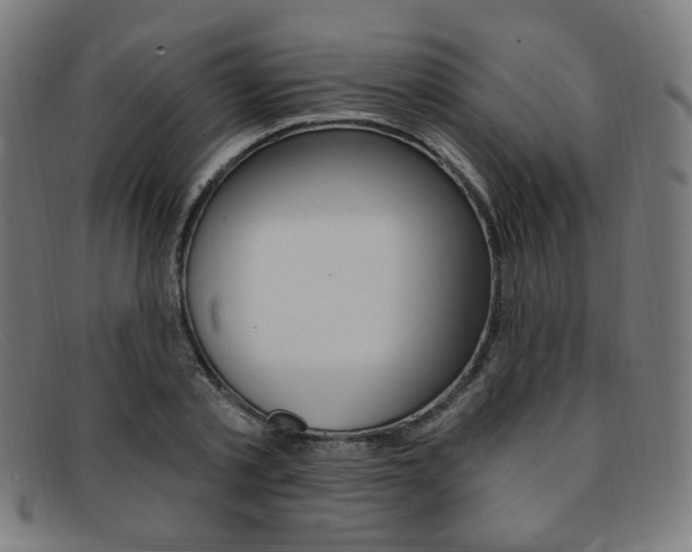 X0000092110789200709121128
