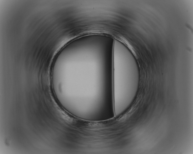 X0000092110795200709121128